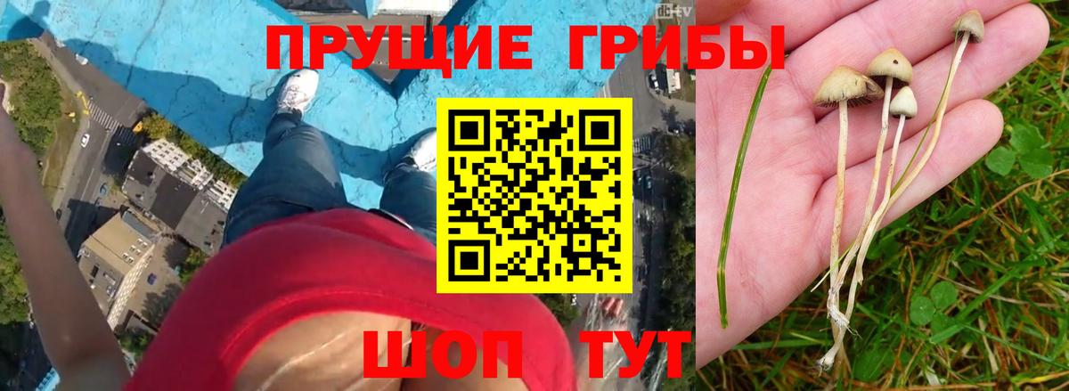Галлюциногенные грибы MAGIC MUSHROOMS Жигулёвск
