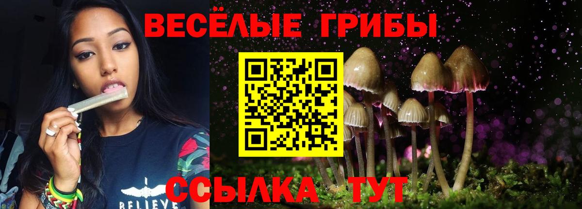 Галлюциногенные грибы Psilocybe  Вход с VPN  даркнет сайт  Псилоцибиновые грибы Psilocybe  Жигулёвск 